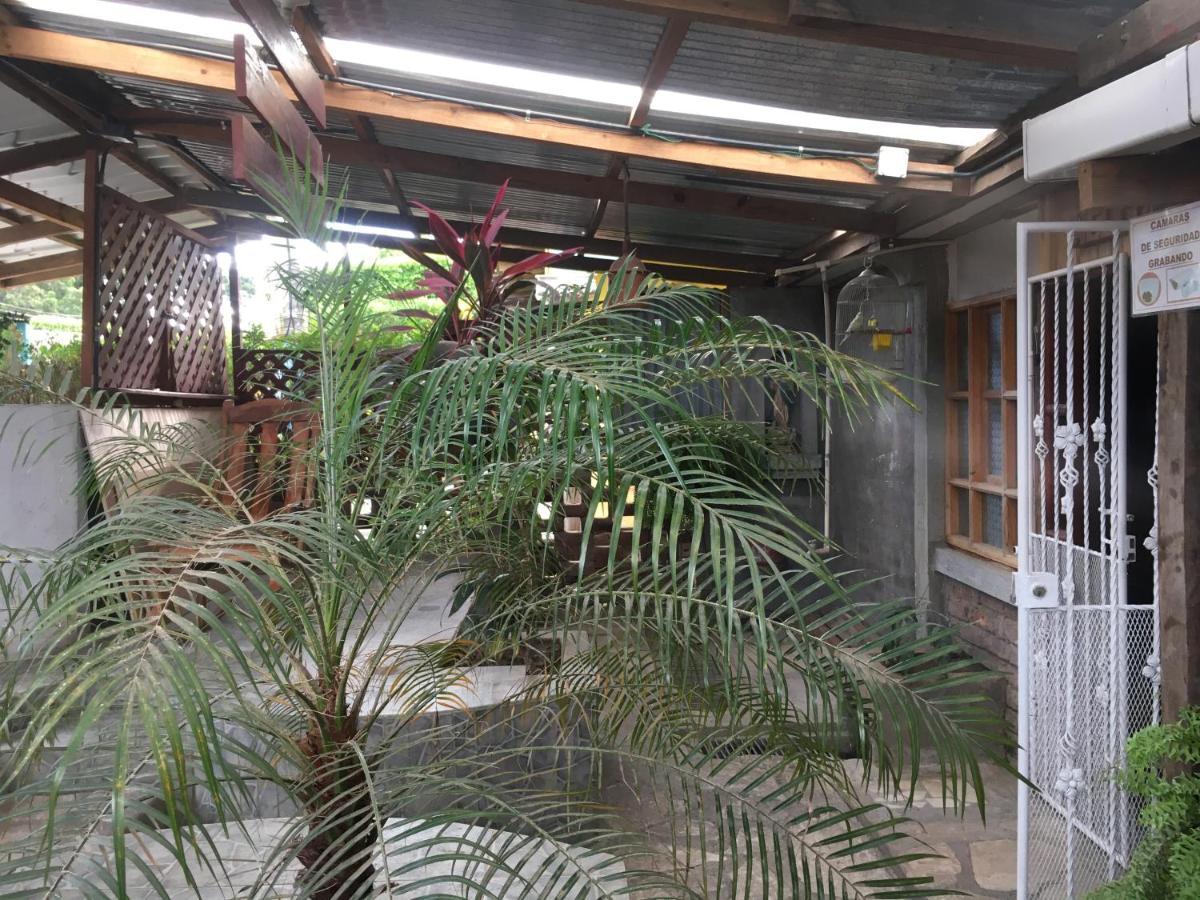 Murph'S Surf Shacks Rivas Exterior photo